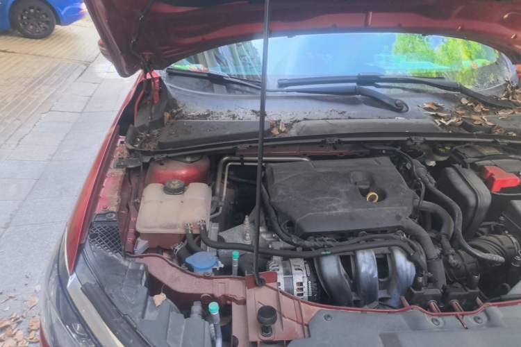 Used Ford Escort 2021 1.5L Automatic Diamond Edition Engine Bay Right