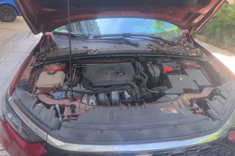 Used Ford Escort 2021 1.5L Automatic Diamond Edition Engine Bay