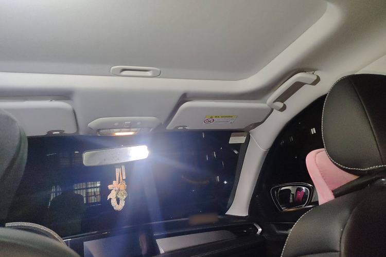 Used Ford Escort 2021 1.5L Automatic Platinum Edition Headliner