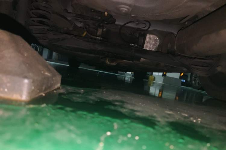 Used Ford Escort 2021 1.5L Automatic Diamond Edition Chassis Rear