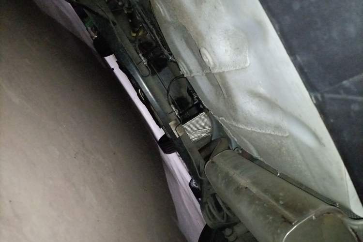 Used Ford Escort 2021 1.5L Automatic Platinum Edition Chassis Rear