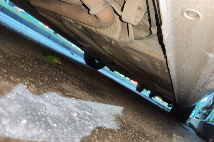 Used Ford Escort 2021 1.5L Automatic Diamond Edition Chassis Rear Right
