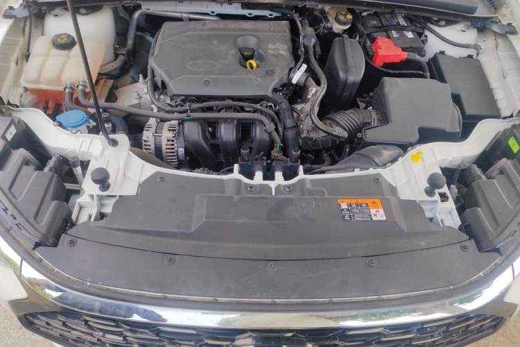 Used Ford Escort 2021 1.5L Automatic Diamond Edition Engine Bay