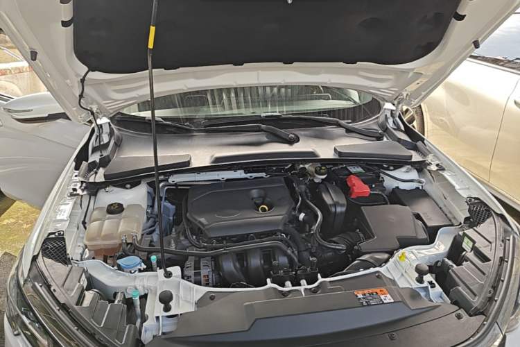 Used Ford Escort 2021 1.5L Automatic Diamond Edition Engine Bay