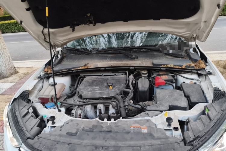Used Ford Escort 2021 1.5L Automatic Diamond Edition Engine Bay