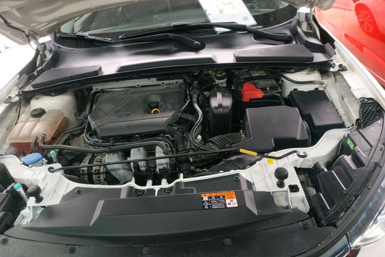 Used Ford Escort 2021 1.5L Automatic Diamond Edition Engine Bay