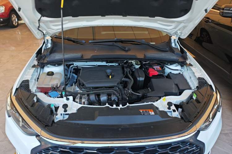 Used Ford Escort 2021 1.5L Automatic Diamond Edition Engine Bay