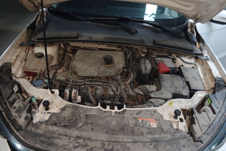 Used Ford Escort 2021 1.5L Automatic Gold Edition Engine Bay