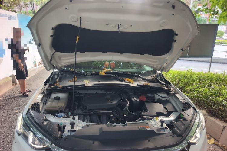 Used Ford Escort 2021 1.5L Automatic Platinum Edition Engine Bay