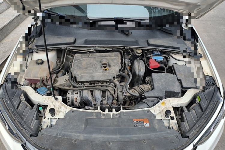 Used Ford Escort 2021 1.5L Automatic Gold Edition Engine Bay