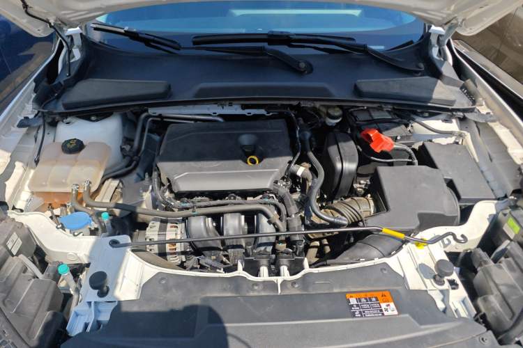 Used Ford Escort 2021 1.5L Automatic Diamond Edition Engine Bay
