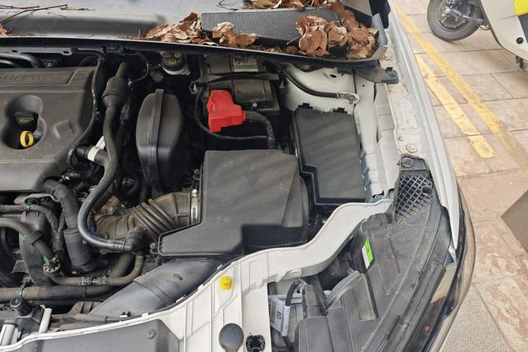 Used Ford Escort 2021 1.5L Automatic Diamond Edition Engine Bay Left