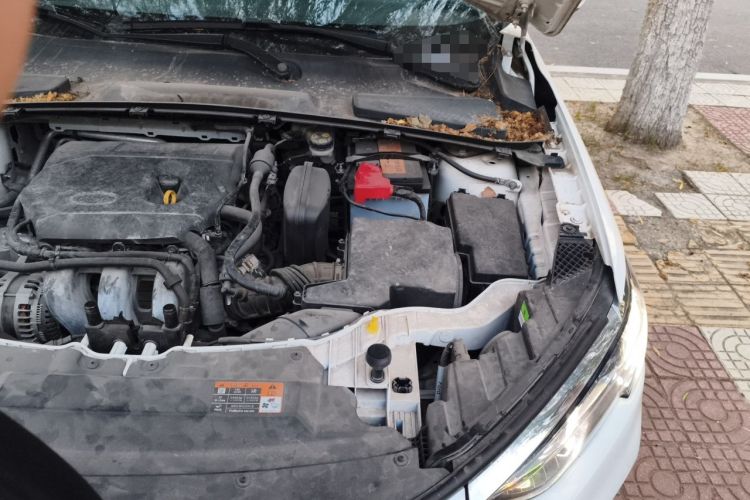 Used Ford Escort 2021 1.5L Automatic Diamond Edition Engine Bay Left