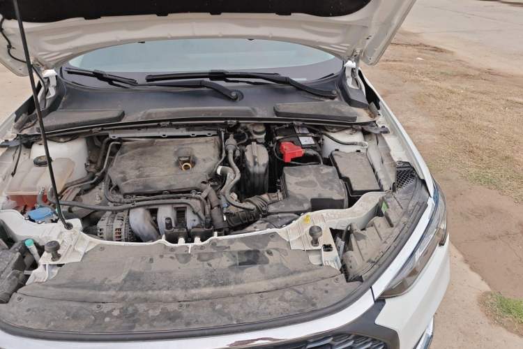 Used Ford Escort 2021 1.5L Automatic Diamond Edition Engine Bay Left