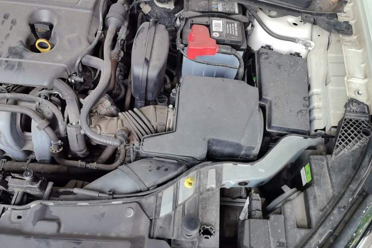 Used Ford Escort 2021 1.5L Automatic Diamond Edition Engine Bay Left