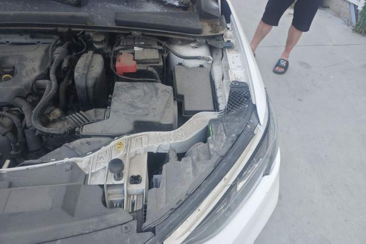 Used Ford Escort 2021 1.5L Automatic Gold Edition Engine Bay Left