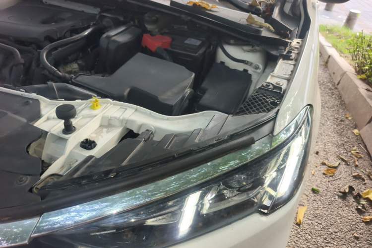 Used Ford Escort 2021 1.5L Automatic Platinum Edition Engine Bay Left