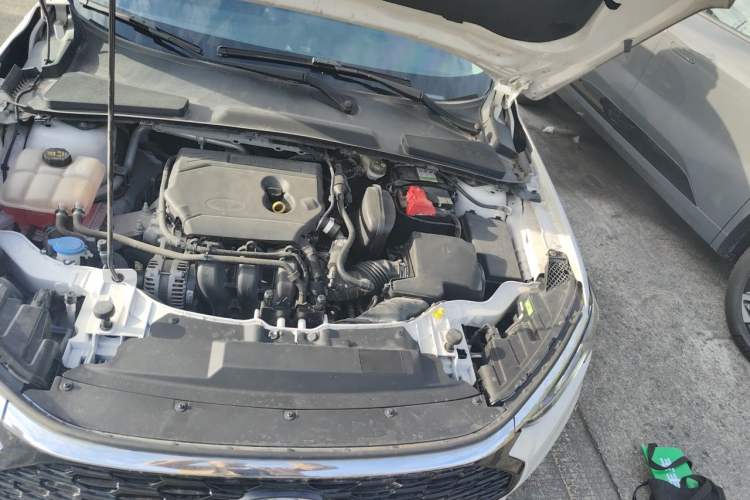 Used Ford Escort 2021 1.5L Automatic Gold Edition Engine Bay Left