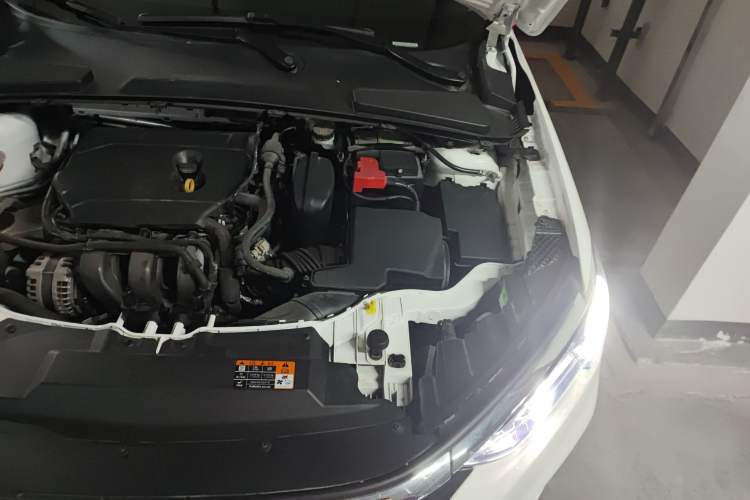 Used Ford Escort 2021 1.5L Automatic Diamond Edition Engine Bay Left