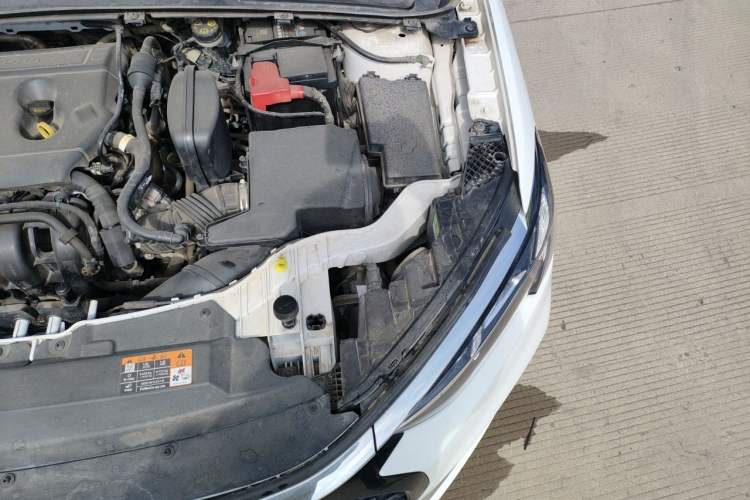 Used Ford Escort 2021 1.5L Automatic Diamond Edition Engine Bay Left