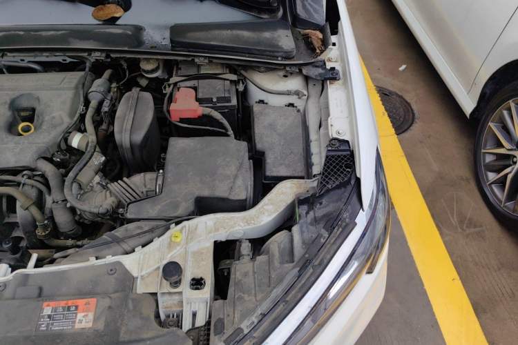 Used Ford Escort 2021 1.5L Automatic Diamond Edition Engine Bay Left