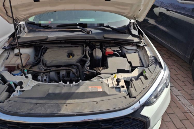 Used Ford Escort 2021 1.5L Automatic Gold Edition Engine Bay Left