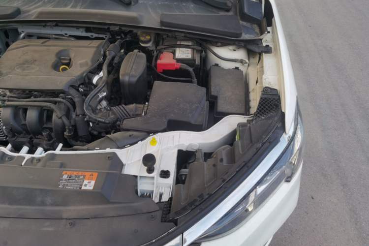 Used Ford Escort 2021 1.5L Automatic Diamond Edition Engine Bay Left
