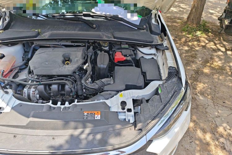 Used Ford Escort 2021 1.5L Automatic Diamond Edition Engine Bay Left