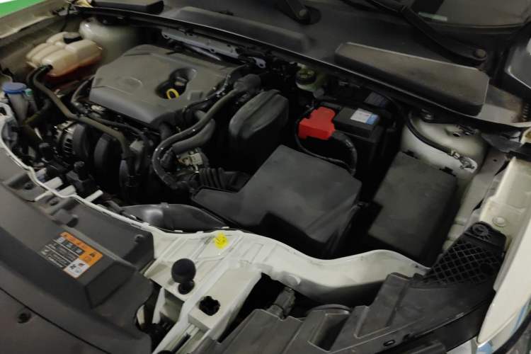 Used Ford Escort 2021 1.5L Automatic Diamond Edition Engine Bay Left
