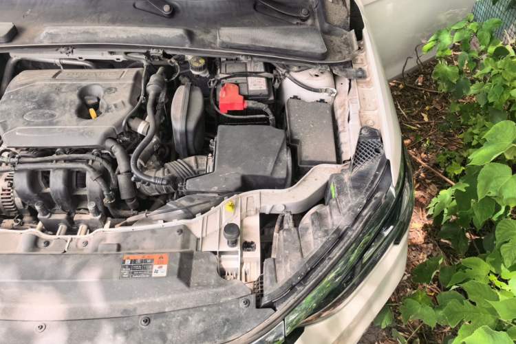 Used Ford Escort 2021 1.5L Automatic Diamond Edition Engine Bay Left