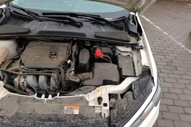 Used Ford Escort 2021 1.5L Automatic Diamond Edition Engine Bay Left