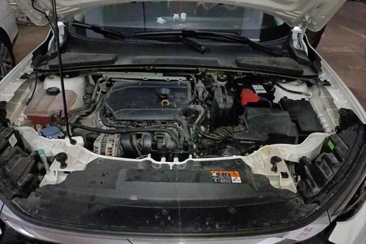 Used Ford Escort 2021 1.5L Automatic Platinum Edition Engine Bay