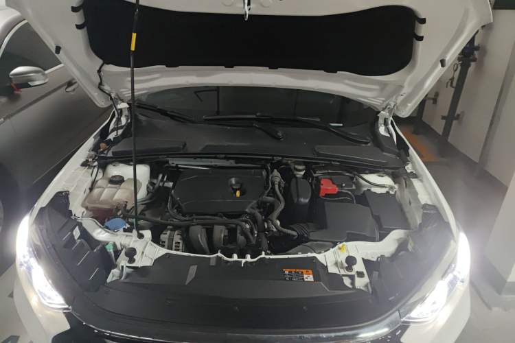 Used Ford Escort 2021 1.5L Automatic Diamond Edition Engine Bay