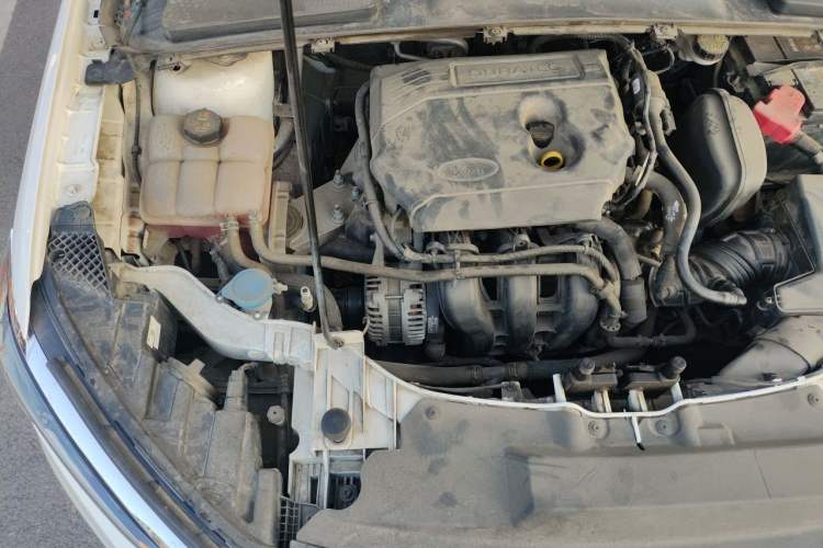 Used Ford Escort 2021 1.5L Automatic Diamond Edition Engine Bay Right