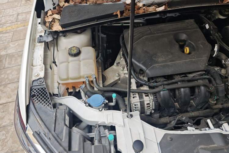 Used Ford Escort 2021 1.5L Automatic Diamond Edition Engine Bay Right