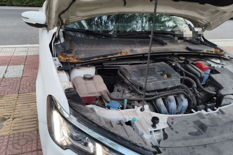 Used Ford Escort 2021 1.5L Automatic Diamond Edition Engine Bay Right