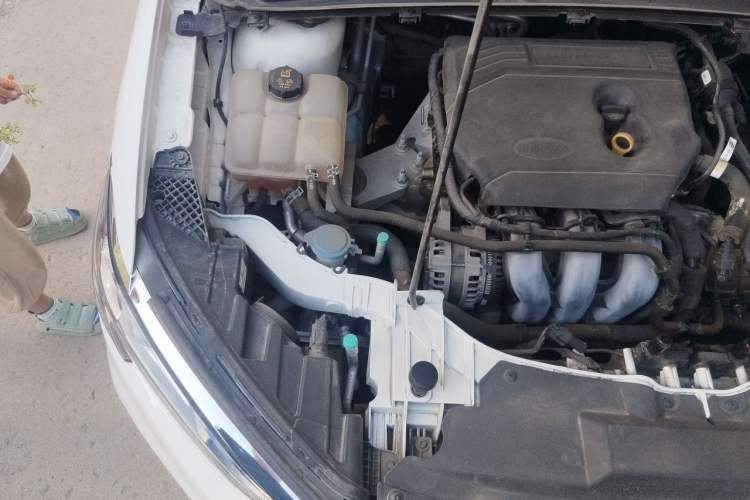 Used Ford Escort 2021 1.5L Automatic Diamond Edition Engine Bay Right