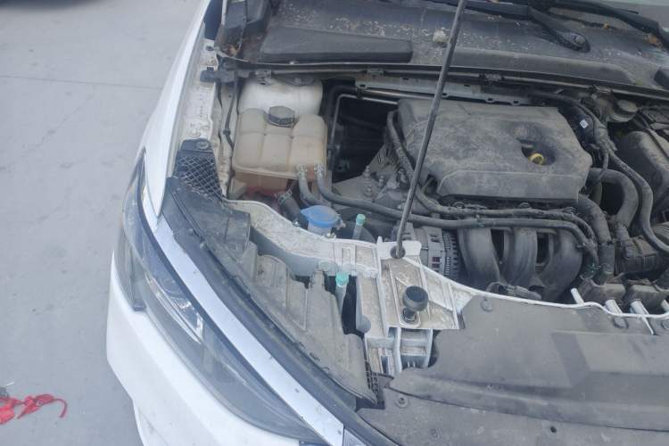 Used Ford Escort 2021 1.5L Automatic Gold Edition Engine Bay Right
