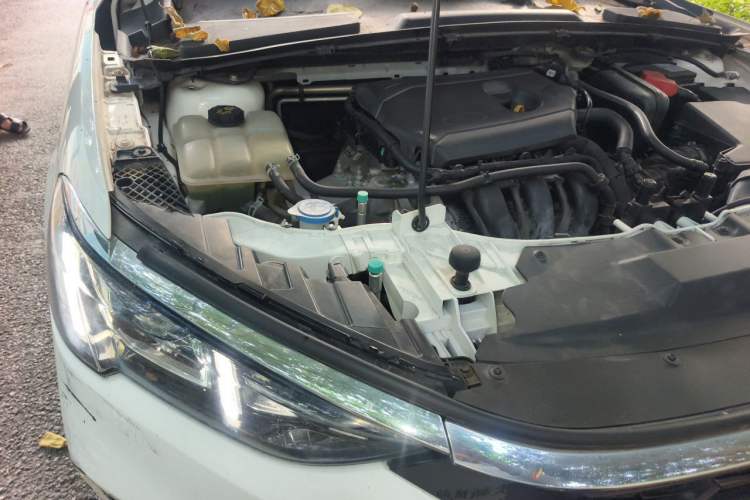 Used Ford Escort 2021 1.5L Automatic Platinum Edition Engine Bay Right