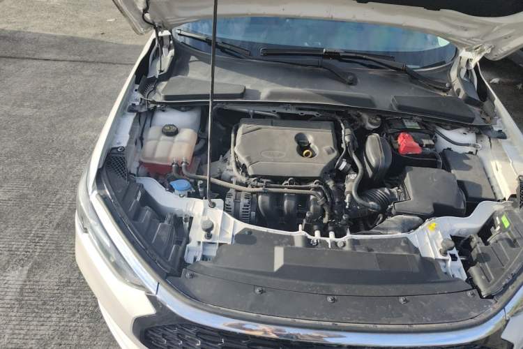 Used Ford Escort 2021 1.5L Automatic Gold Edition Engine Bay Right