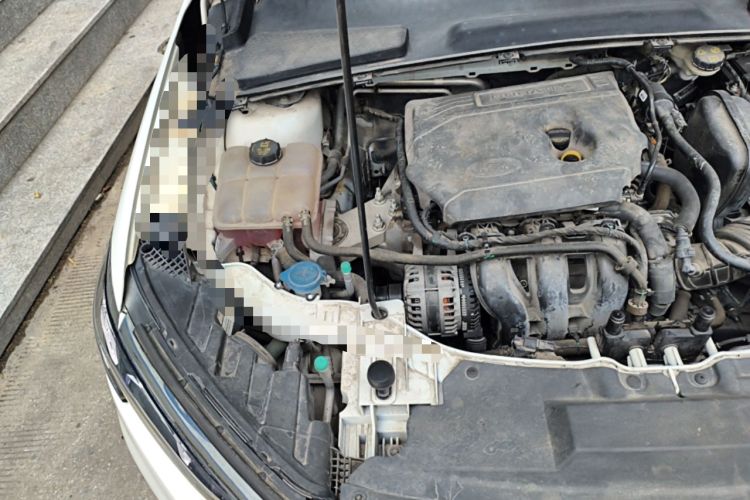Used Ford Escort 2021 1.5L Automatic Gold Edition Engine Bay Right
