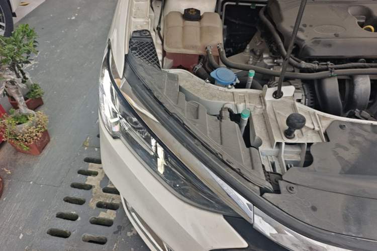 Used Ford Escort 2021 1.5L Automatic Diamond Edition Engine Bay Right
