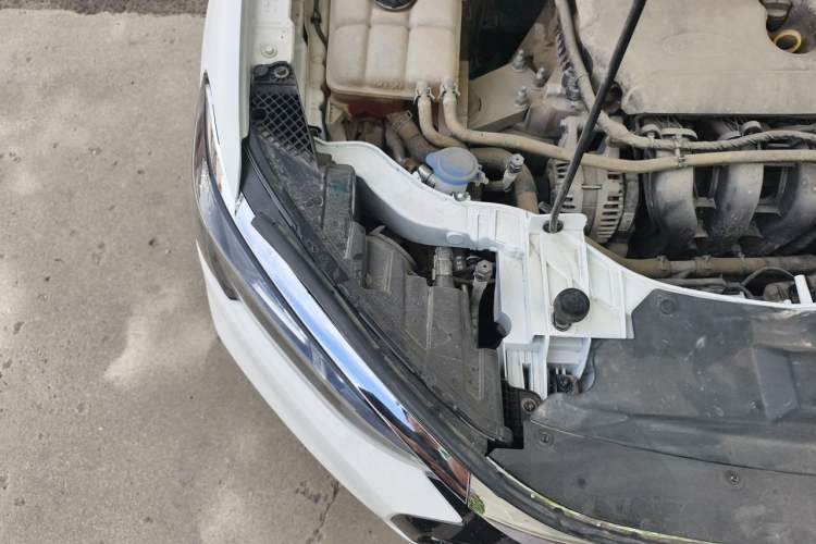 Used Ford Escort 2021 1.5L Automatic Diamond Edition Engine Bay Right