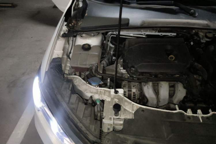 Used Ford Escort 2021 1.5L Automatic Diamond Edition Engine Bay Right