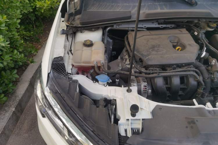 Used Ford Escort 2021 1.5L Automatic Diamond Edition Engine Bay Right