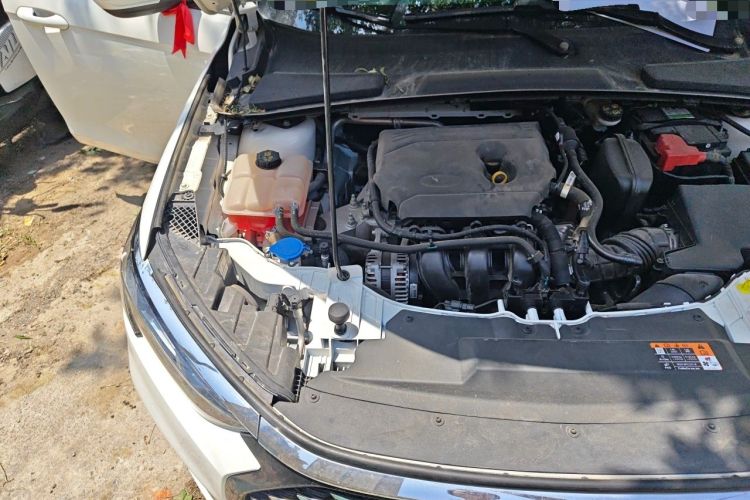 Used Ford Escort 2021 1.5L Automatic Diamond Edition Engine Bay Right