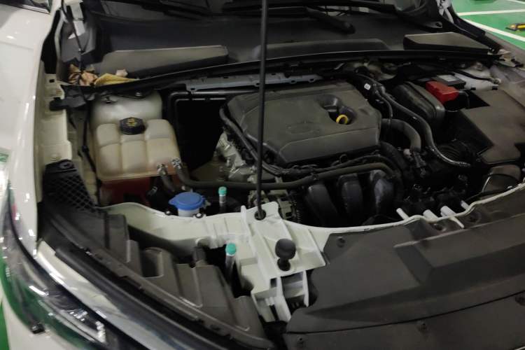 Used Ford Escort 2021 1.5L Automatic Diamond Edition Engine Bay Right