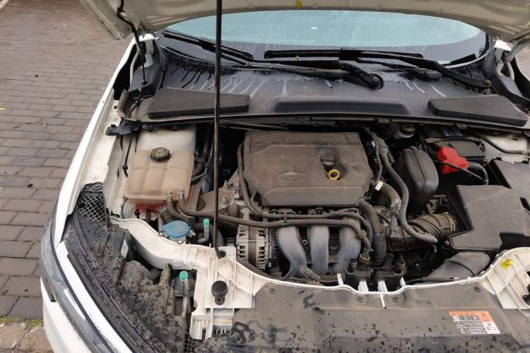 Used Ford Escort 2021 1.5L Automatic Diamond Edition Engine Bay Right