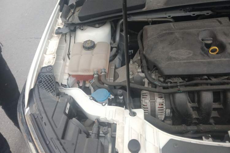 Used Ford Escort 2021 1.5L Automatic Diamond Edition Engine Bay Right