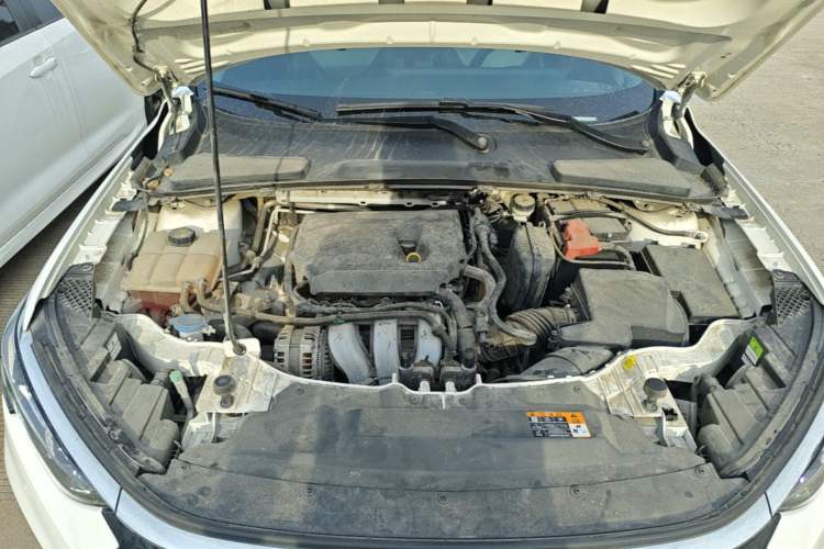 Used Ford Escort 2021 1.5L Automatic Platinum Edition Engine Bay